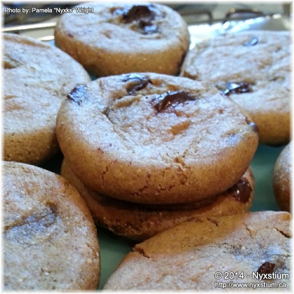 Close up Image of Gluten Free Chocolate Chip Cookies